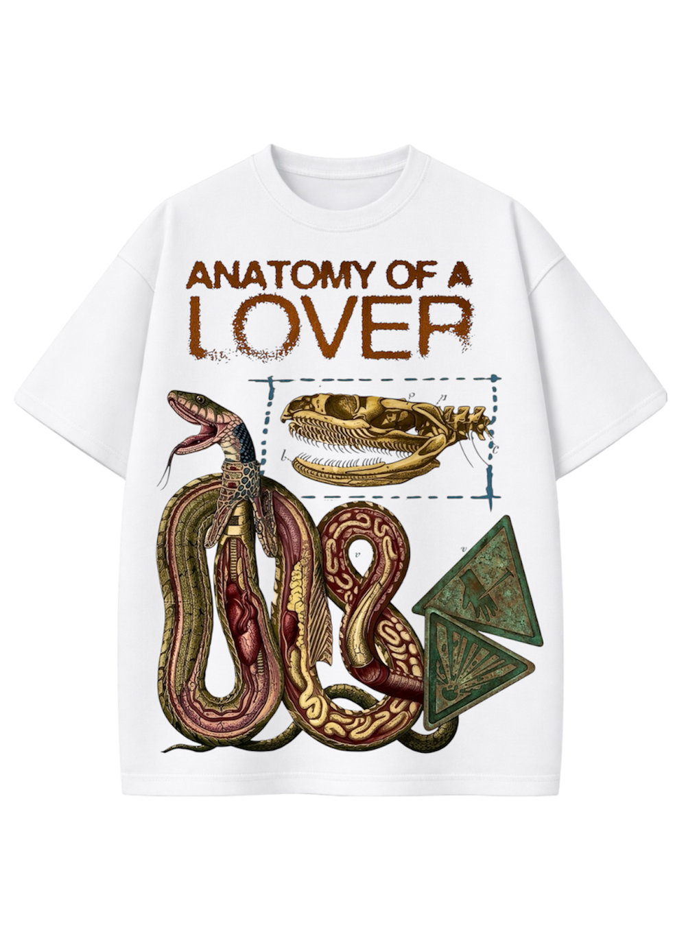 Anatomy